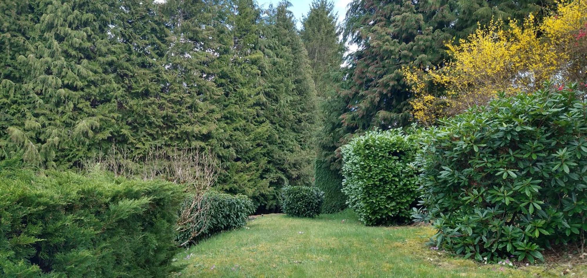Le Petit Lac Bourganeuf 外观 照片